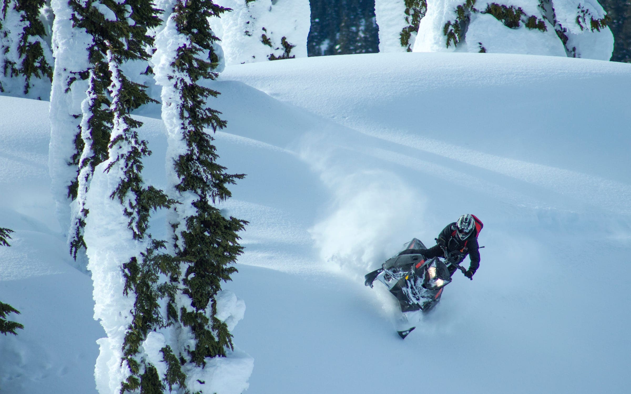 A rider dropping a sled through deep untracked snow between snow-loaded trees.